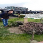 Saif abd aljabar
